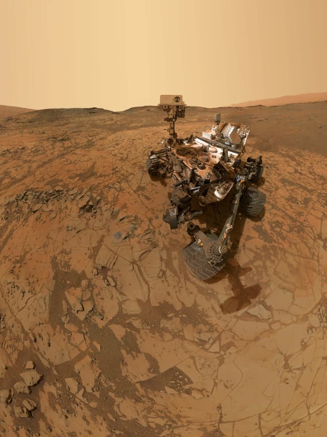 Card image for Rover Follower app